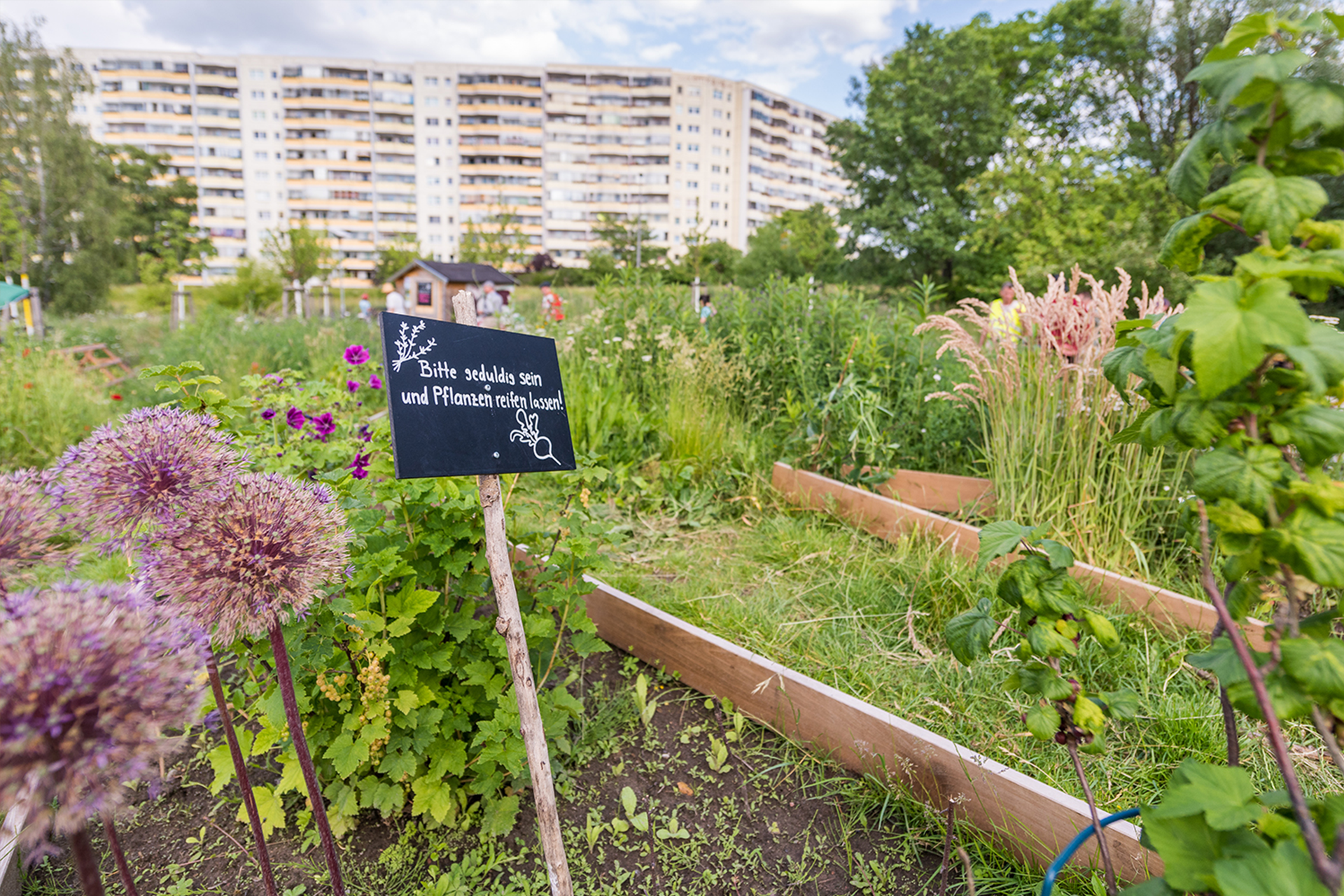 Urbaner Garten vor Hochhäusern