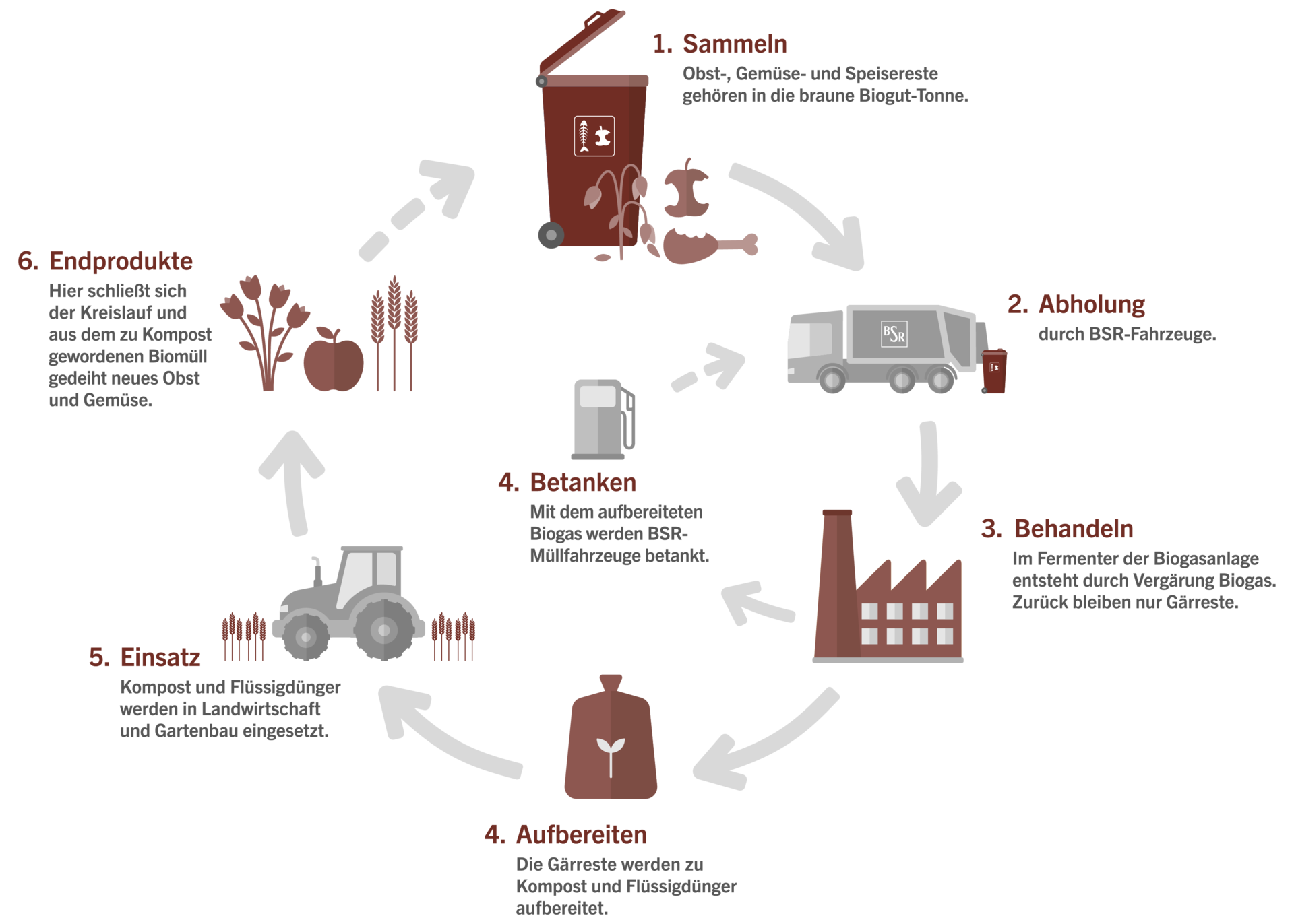 Im ersten Schritt werden Obst-, Gemüse- und Speisereste in der braunen Biogut-Tonne gesammelt. Dann holen BSR-Fahrzeuge den Biomüll ab. Im Fermenter der Biogasanlage entsteht durch Vergärung Biogas. Zurück bleiben nur Gärreste. Mit dem aufbereiteten Biogas werden BSR-Müllfahrzeuge betankt. Die Gärreste werden zu Kompost und Flüssigdünger aufbereitet. Beides wird in Landwirtschaft und Gartenbau eingesetzt. Jetzt schließt sich der Kreislauf und aus dem zu Kompost gewordenen Biomüll gedeiht neues Obst und Gemüse.