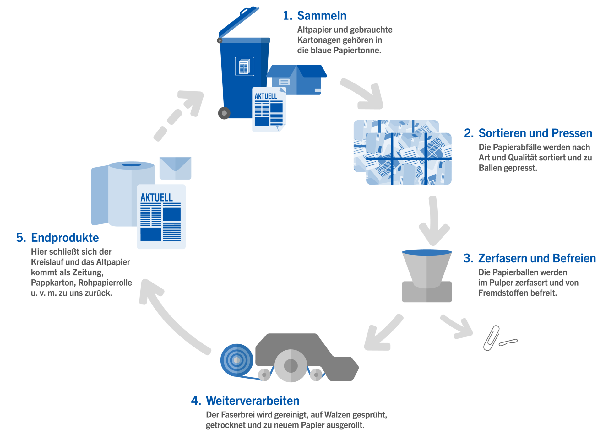 Im ersten Schritt werden Altpapier und gebrauchte Kartonagen in der blauen Papiertonne gesammelt. Dann werden die Papierabfälle nach Art und Qualität sortiert und zu Papierballen gepresst. Die Ballen werden im Pulper zerfasert und von Fremdstoffen wie zum Beispiel Büroklammern befreit. Der Faserbrei wird gereinigt, auf Walzen gesprüht, getrocknet und zu neuem Papier ausgerollt. Jetzt schließt sich der Kreislauf und das Altpapier kommt als Zeitung, Pappkarton, Rohpapierrolle und vielem mehr zu uns zurück.