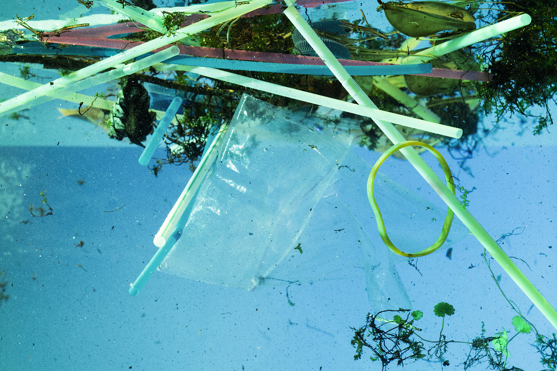 Diverser Plastikunrat schwimmt neben Wasserpflanzen im Wasser.