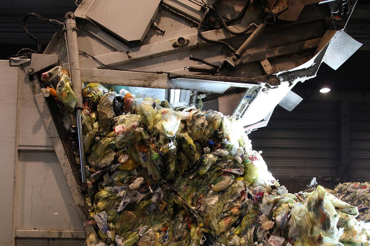 Aus der offenen Klappe eines Müllfahrzeuges werden mit Plastikmüll gefüllte gelbe Säcke auf ein Förderband in einer Halle abgeladen.