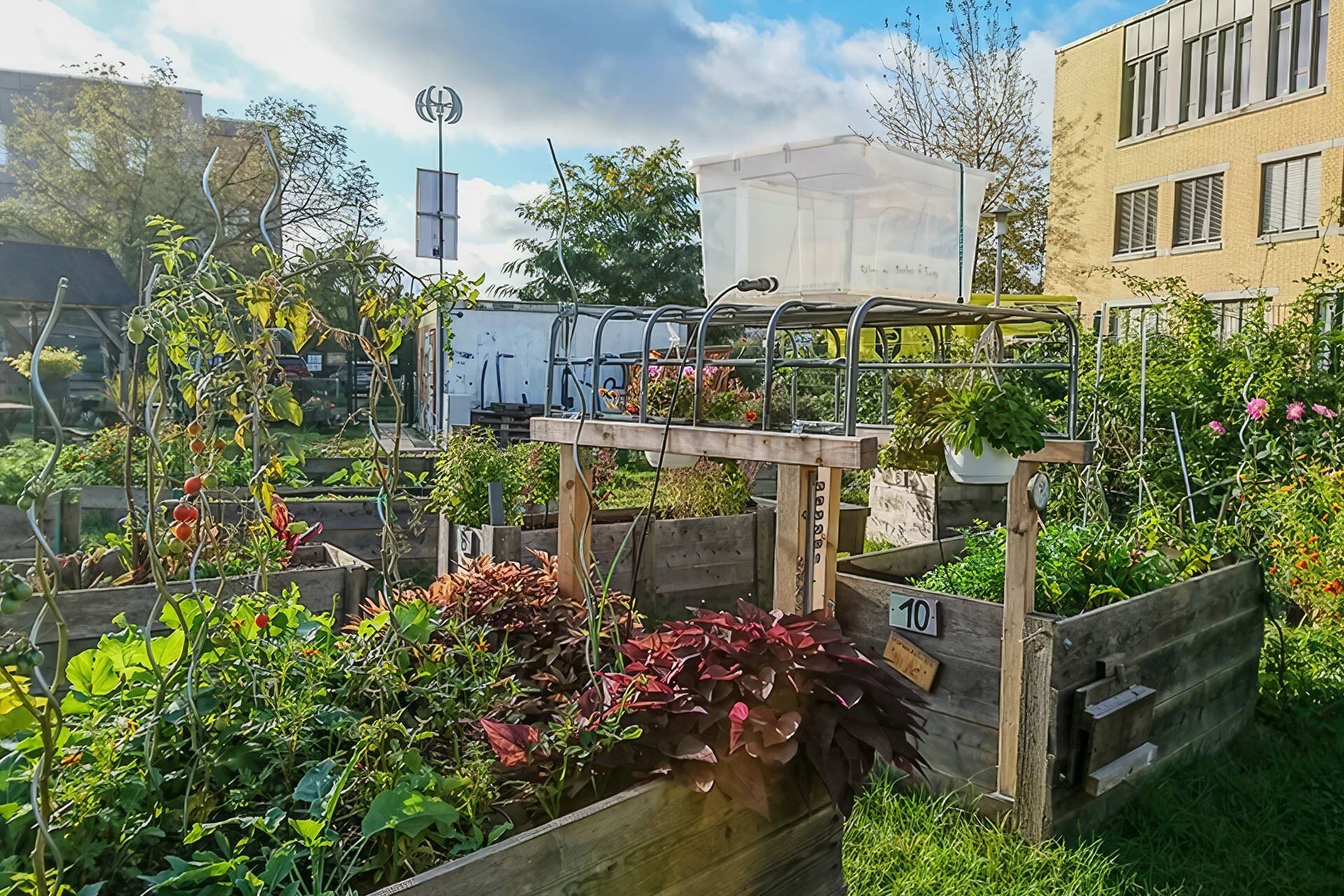 Gießkanne statt Großstadtgrau - Urban Gardening in der Hellen Oase